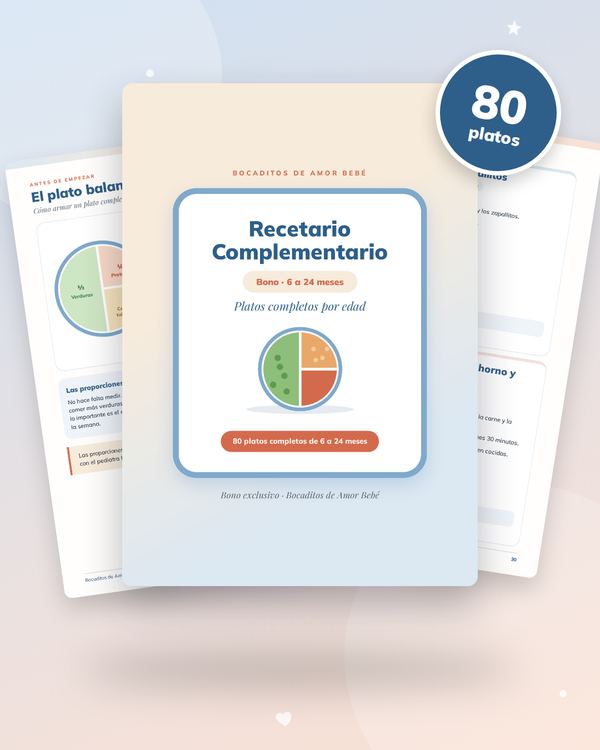 Recetario Complementario