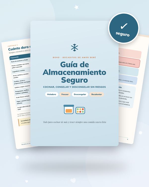 Guía de Almacenamiento Seguro