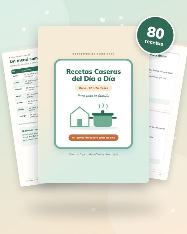 Recetas Caseras del Día a Día